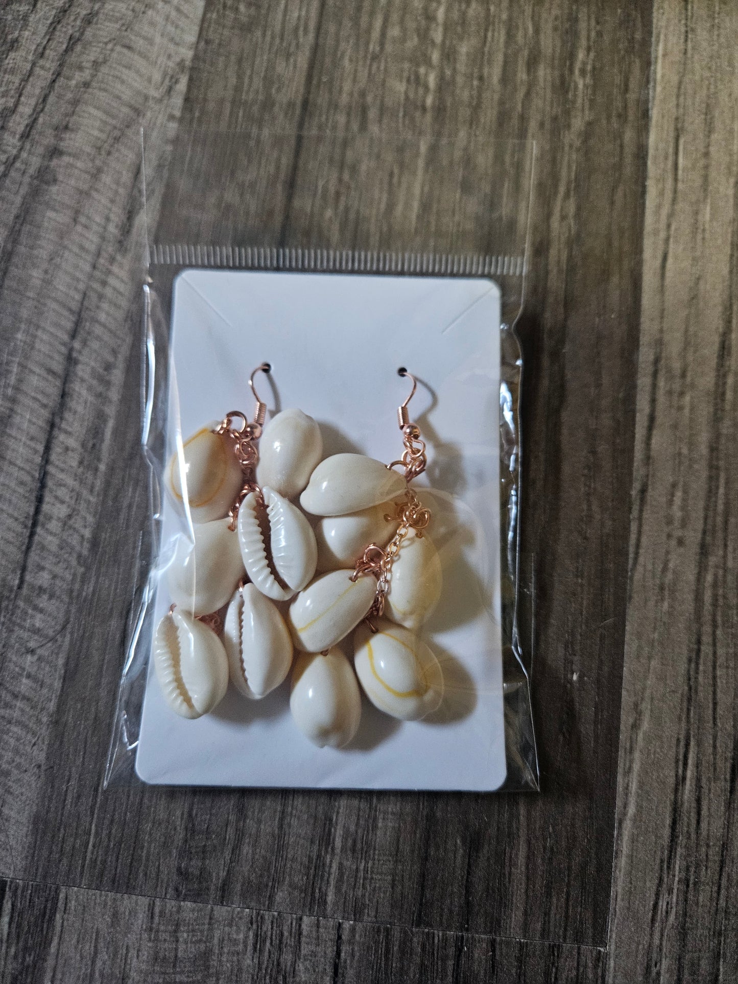 Seashell - earrings